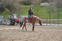 Trail_Kurs_2012