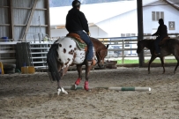 Trail_Kurs_2012