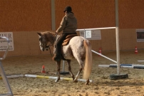 WarmUp_2011