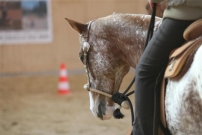 WarmUp_2011