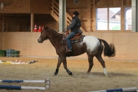 WarmUp_2011