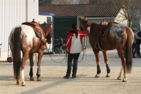 WarmUp_2011